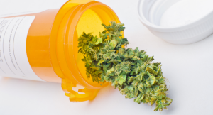 La marijuana bio thérapeutique recommandé dans la sclérose en plaques